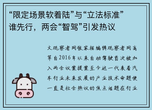 “限定场景软着陆”与“立法标准”谁先行，两会“智驾”引发热议