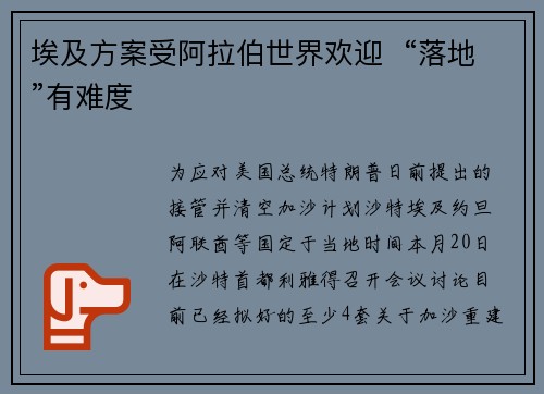 埃及方案受阿拉伯世界欢迎  “落地”有难度